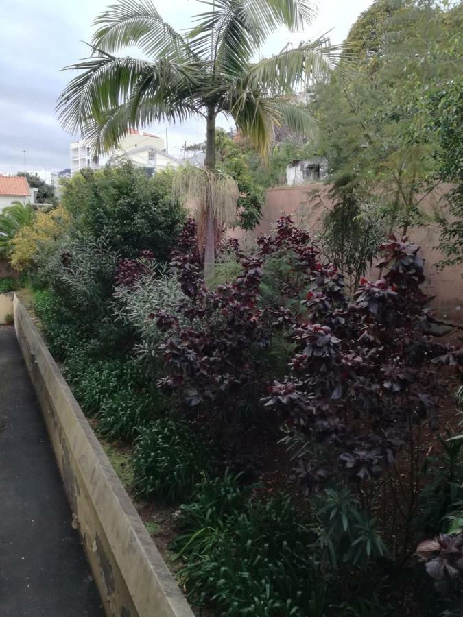 Апартаменты Madeira Funchal Gardens Экстерьер фото