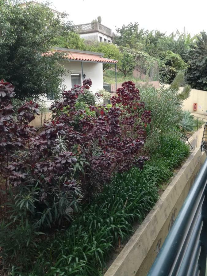 Апартаменты Madeira Funchal Gardens Экстерьер фото